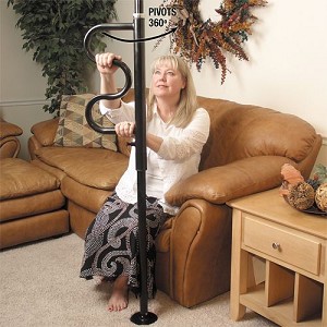 Security Pole with Grab Bar
